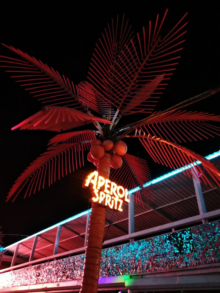 Palm tree in a beach disco club