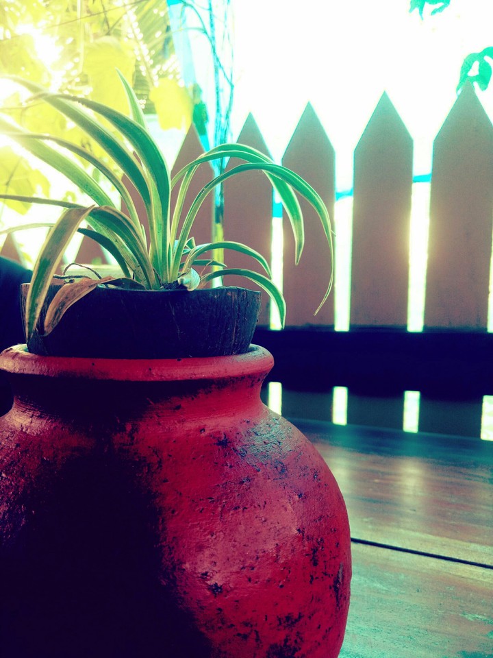 muddy pot