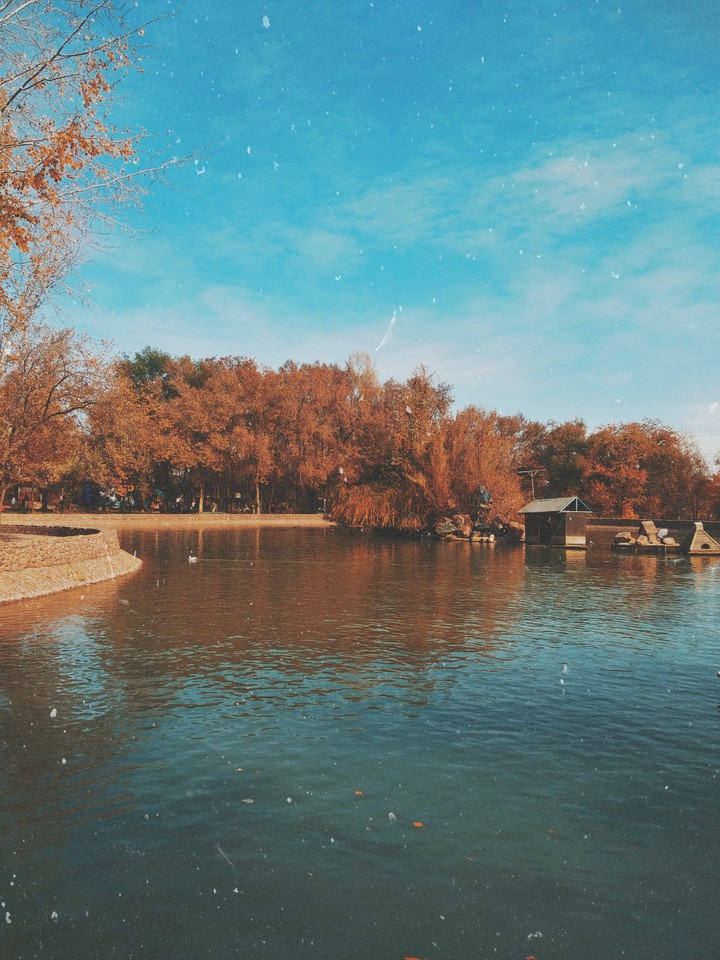 autumn