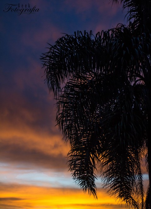 por do sol