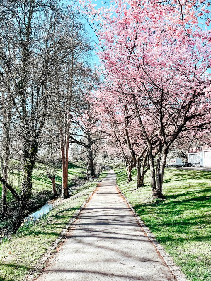 spring