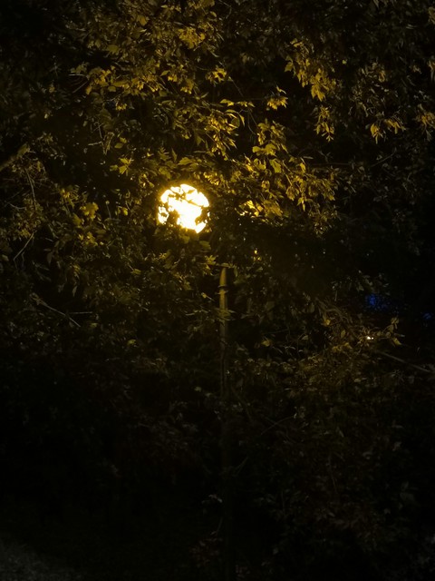 ночь
