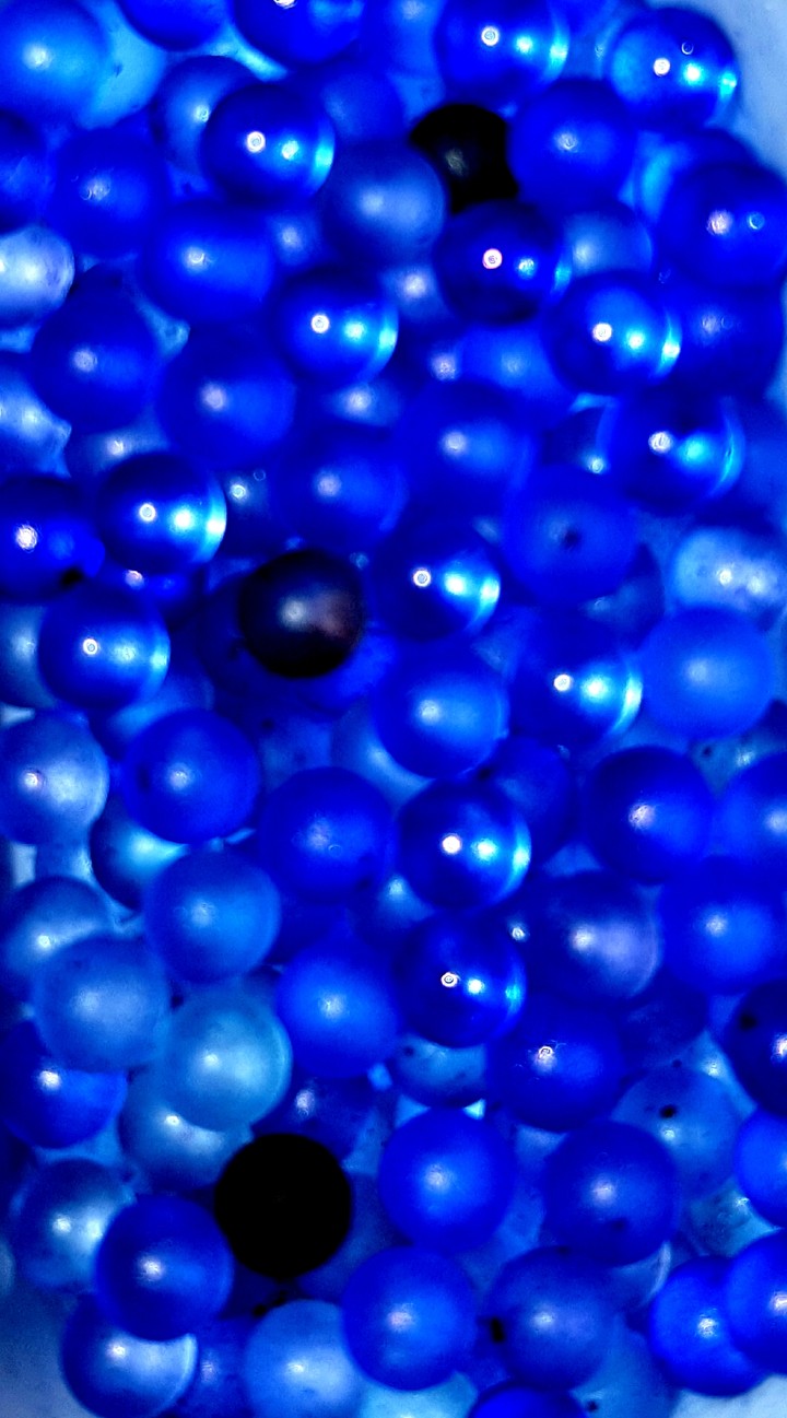 Bubbles