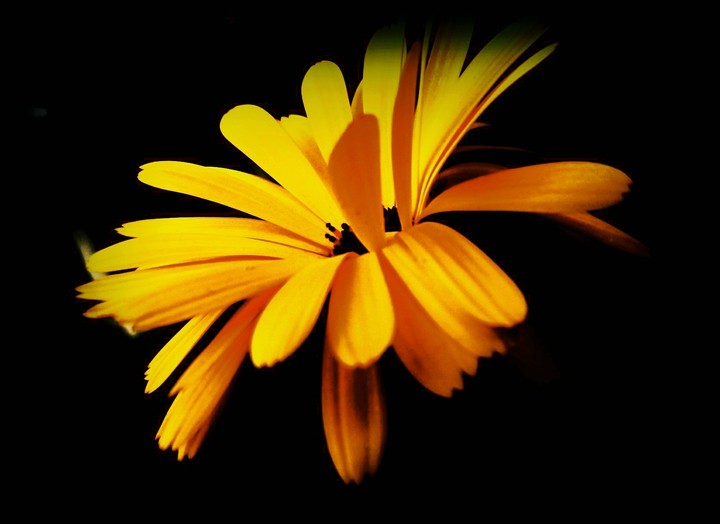 Random click