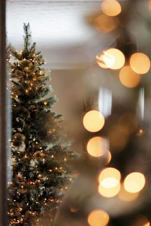 ✨