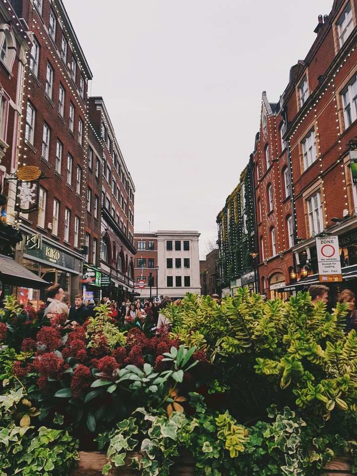 Vintage Camden