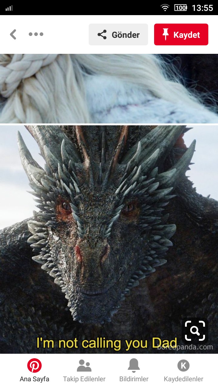 dragon
