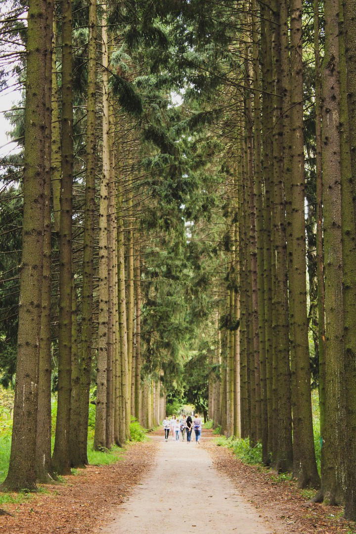 juniper alley