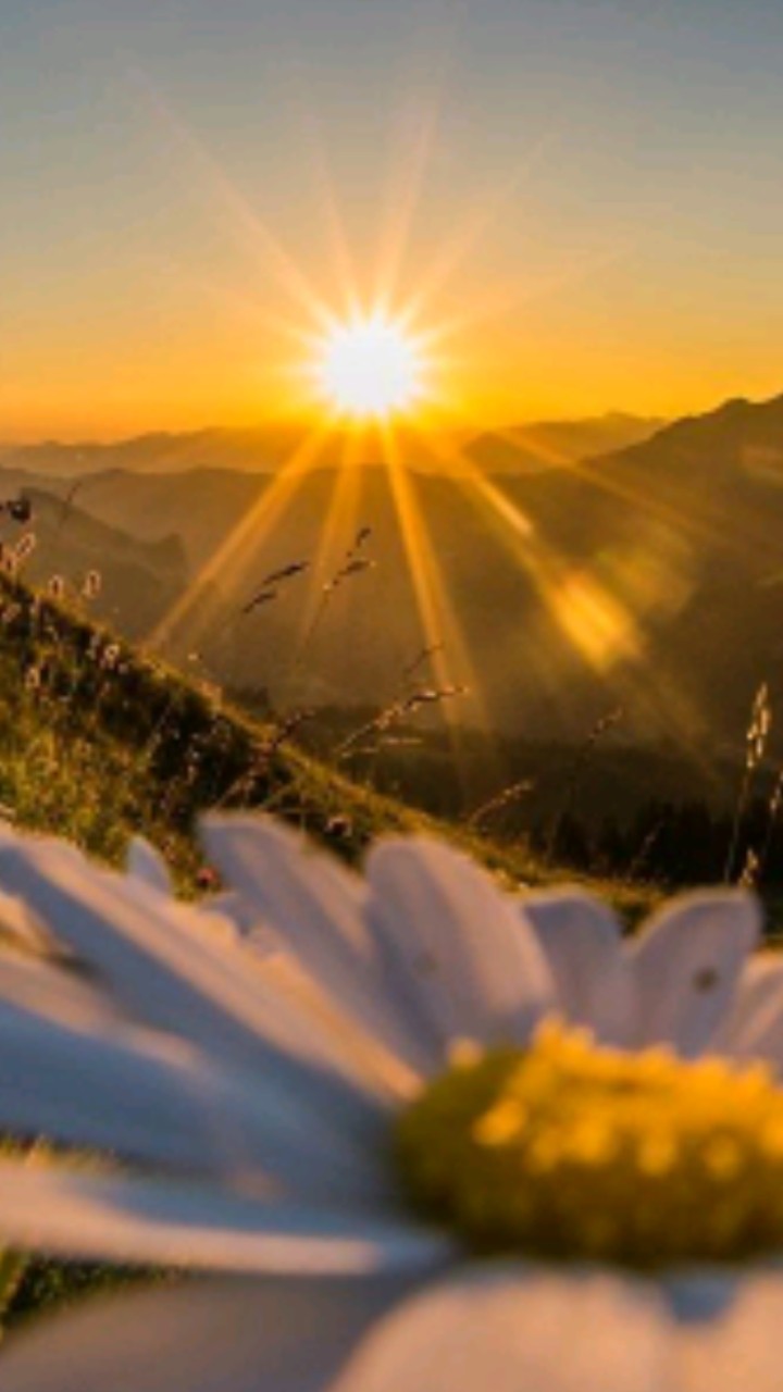 beautiful sunset in mountains