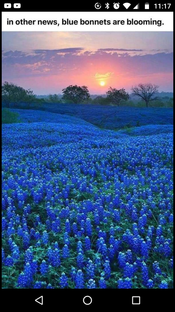 beautiful