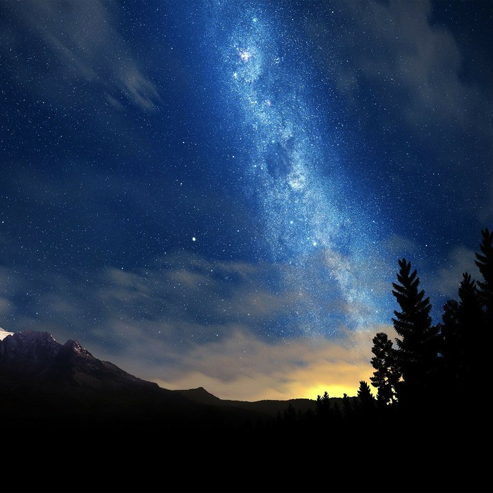 night