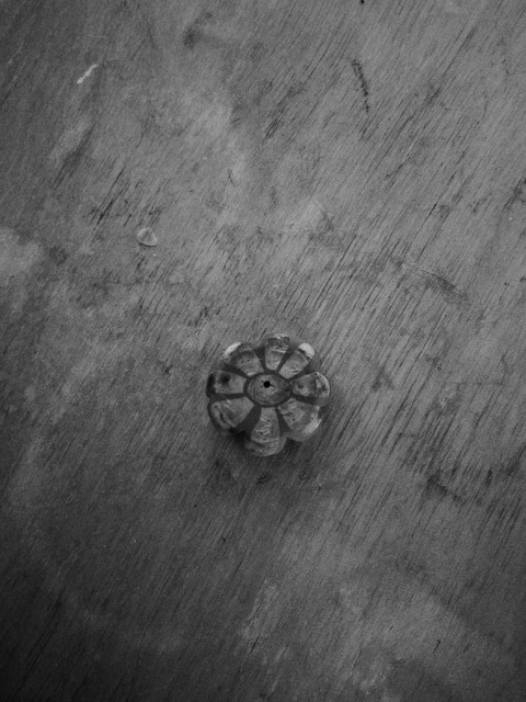 little flower