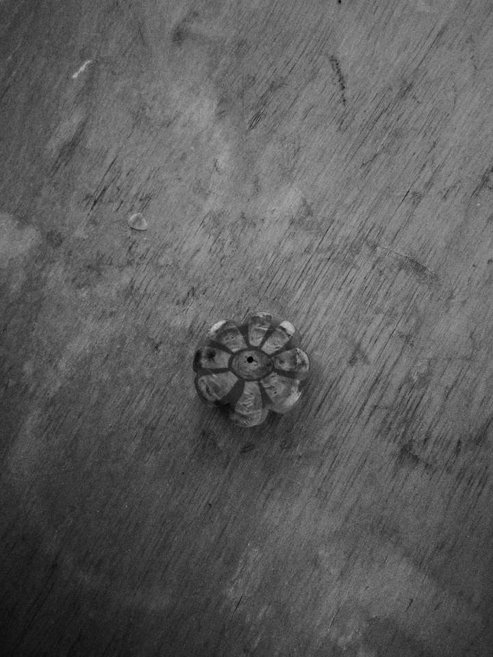 little flower