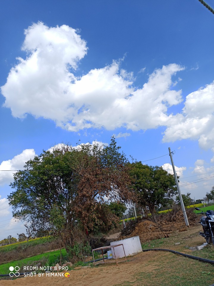 Nature