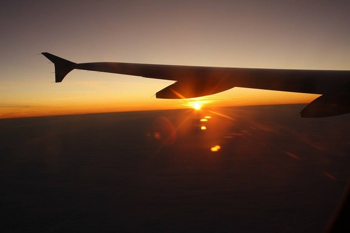 fly