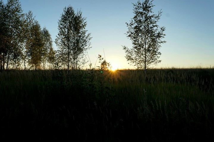 nature