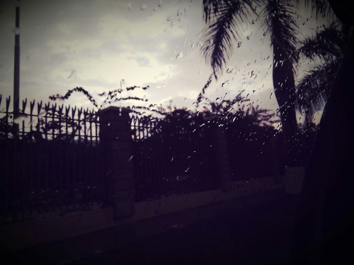 evening
