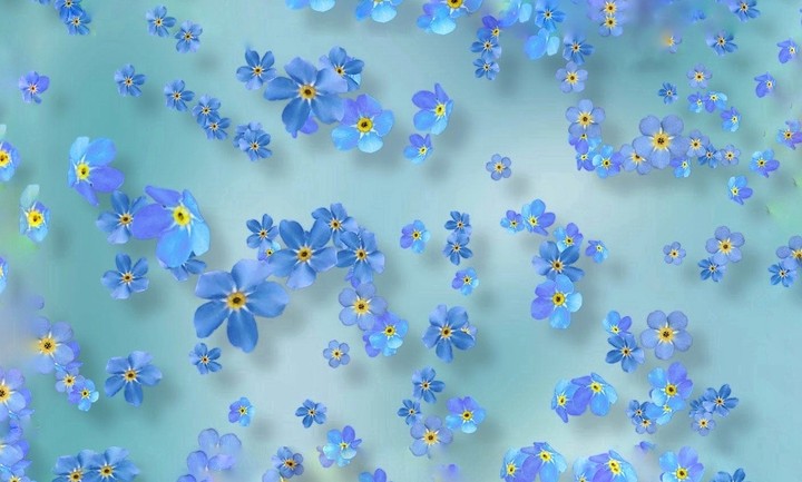 forgetmenot