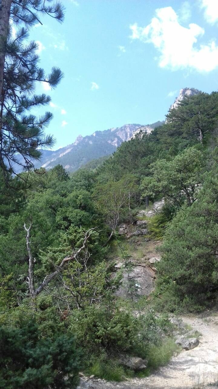 Crimea mountains
