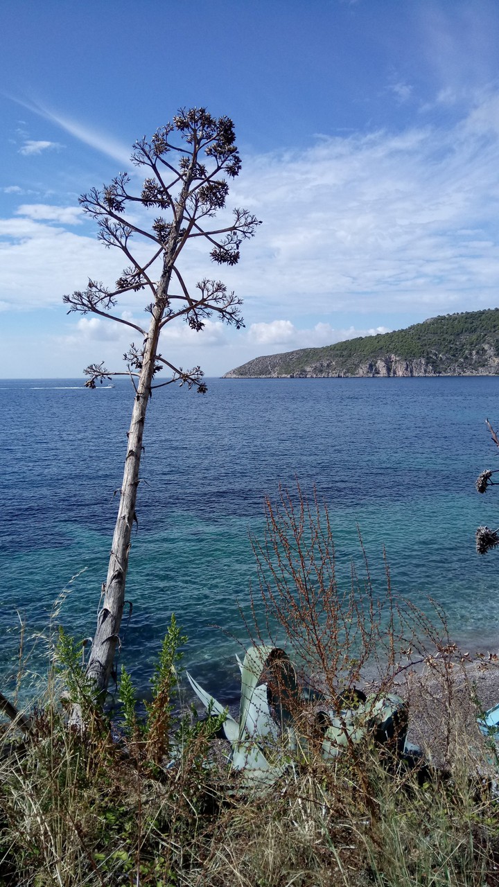komiza, croatia, island vis