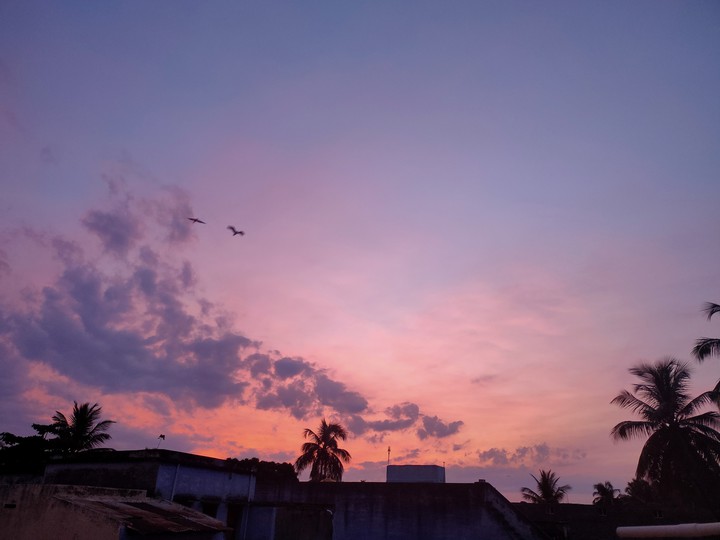 sky