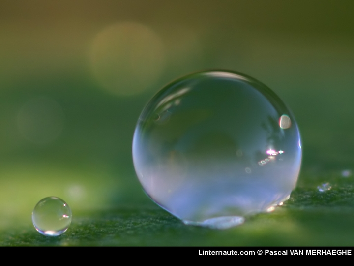 eau