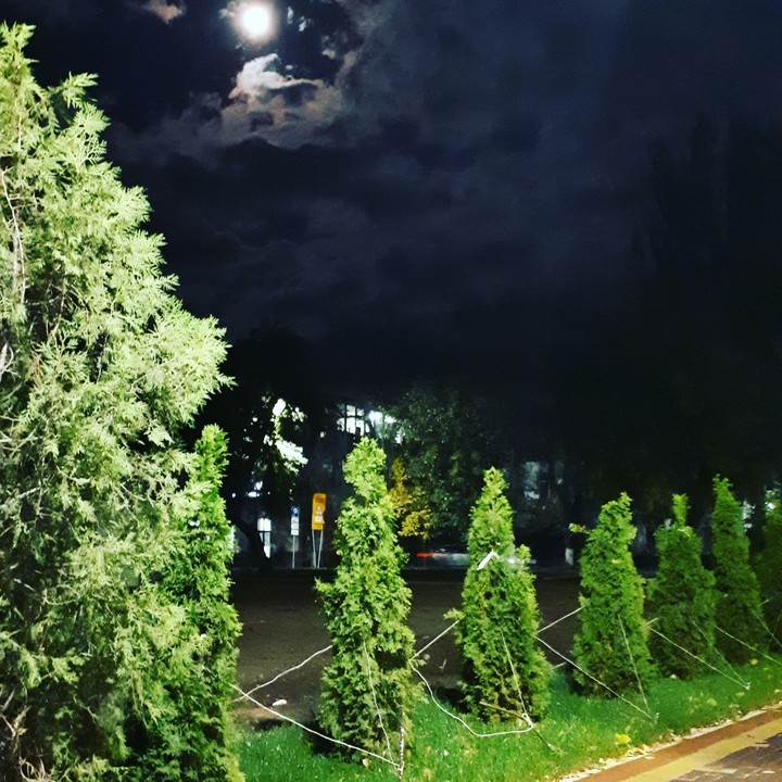 moon light