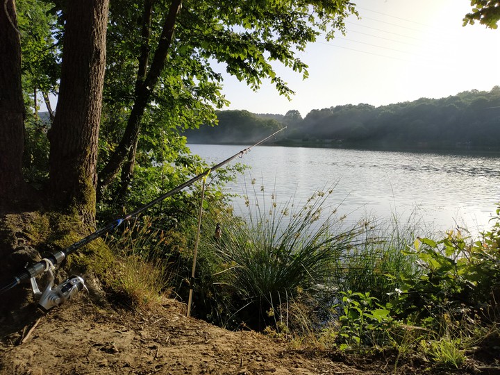 fishing