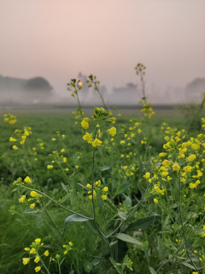 beautiful nature