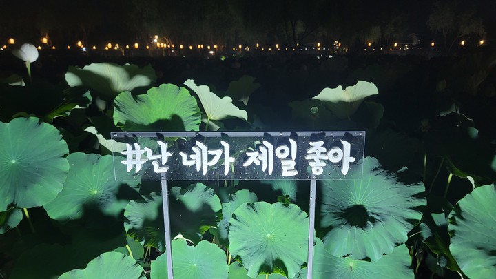 난 네가 제일좋아