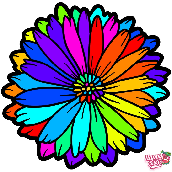Happy Color