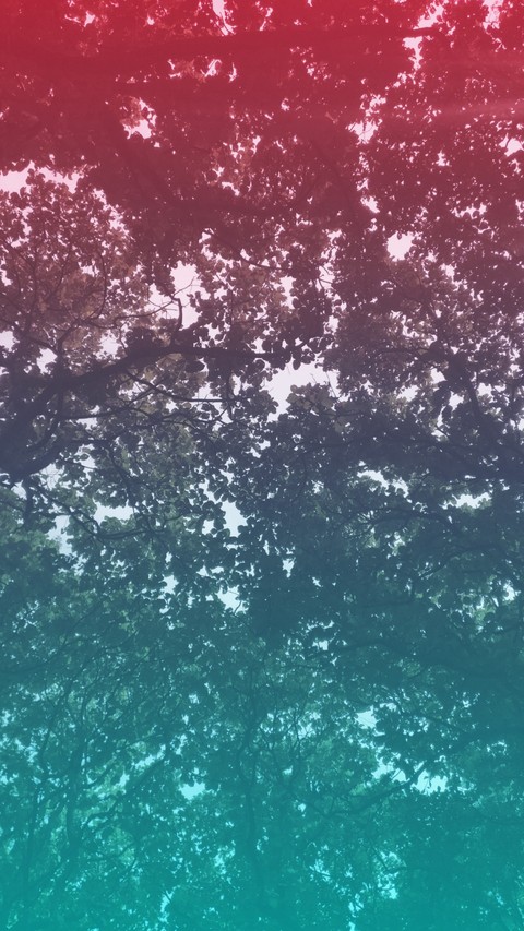 the sky!