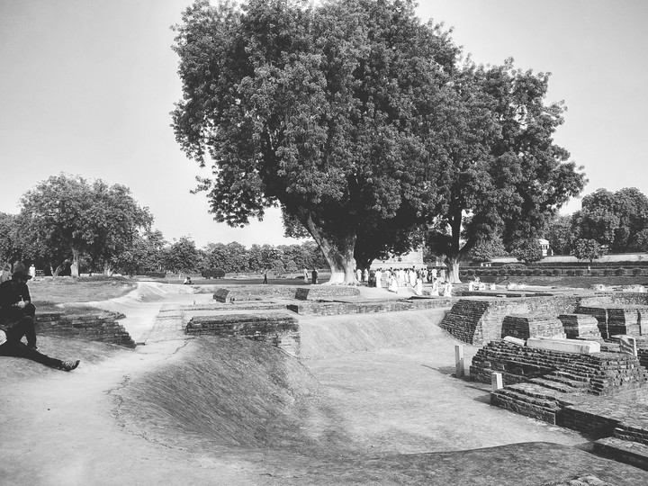 Sarnath grounds