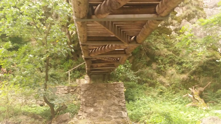 Wood bridge