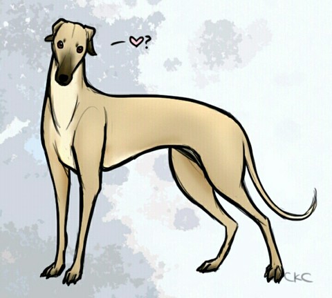 Greyhound Art