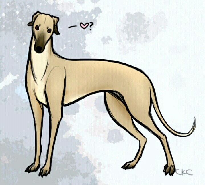 Greyhound Art