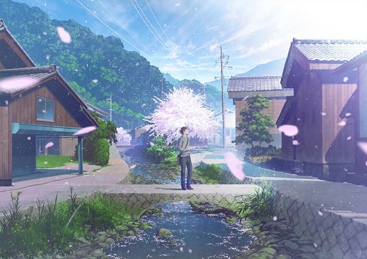 Anime ~ boy