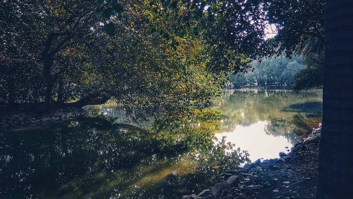 Lake View