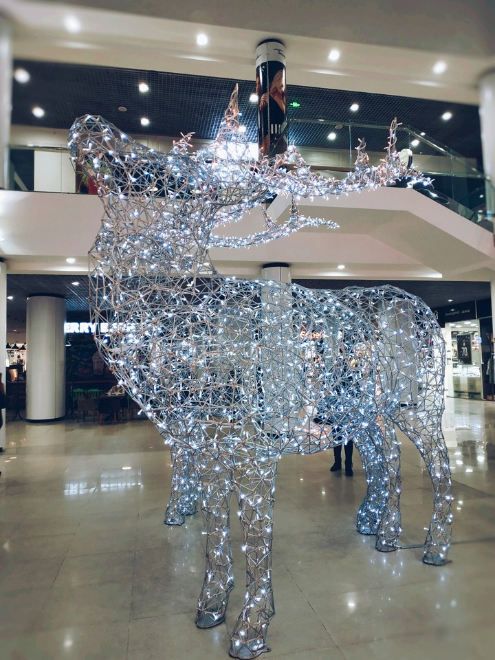 Deer