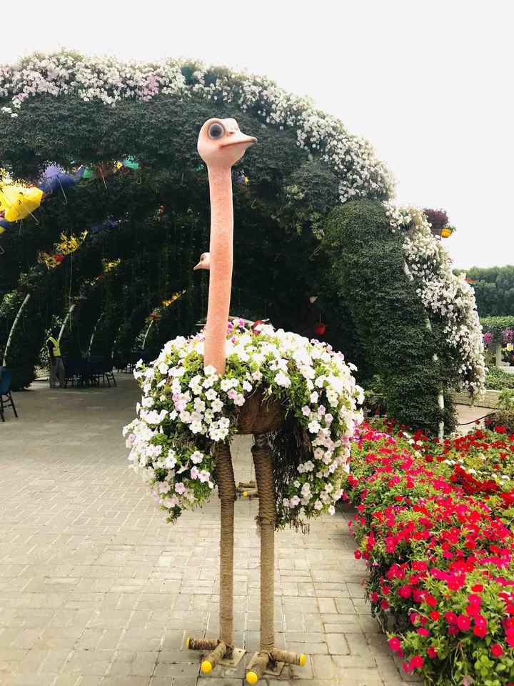 Miracle Garden