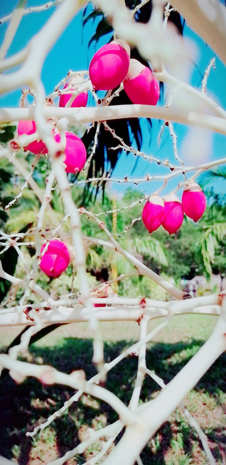 beautiful