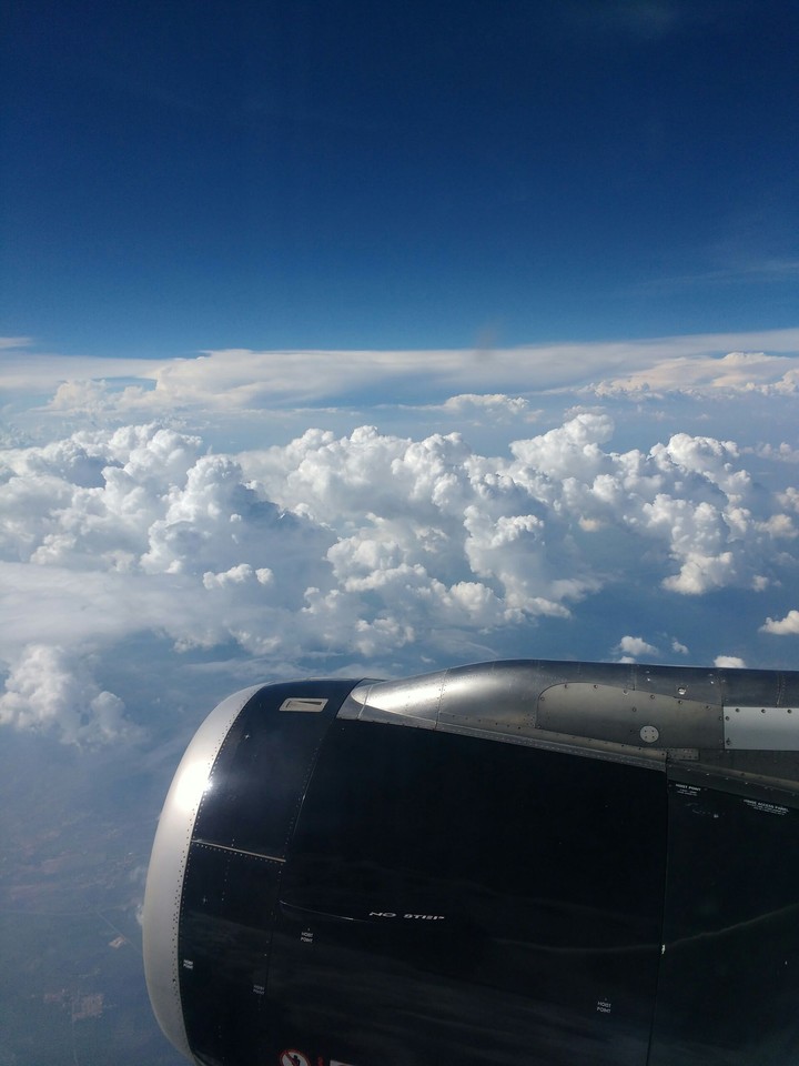 Fly