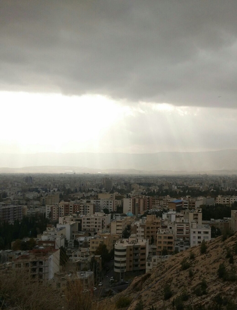 Shiraz