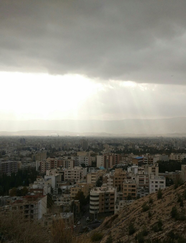 Shiraz