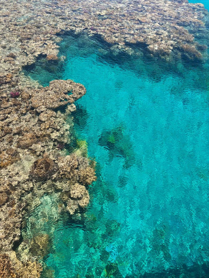 Red Sea