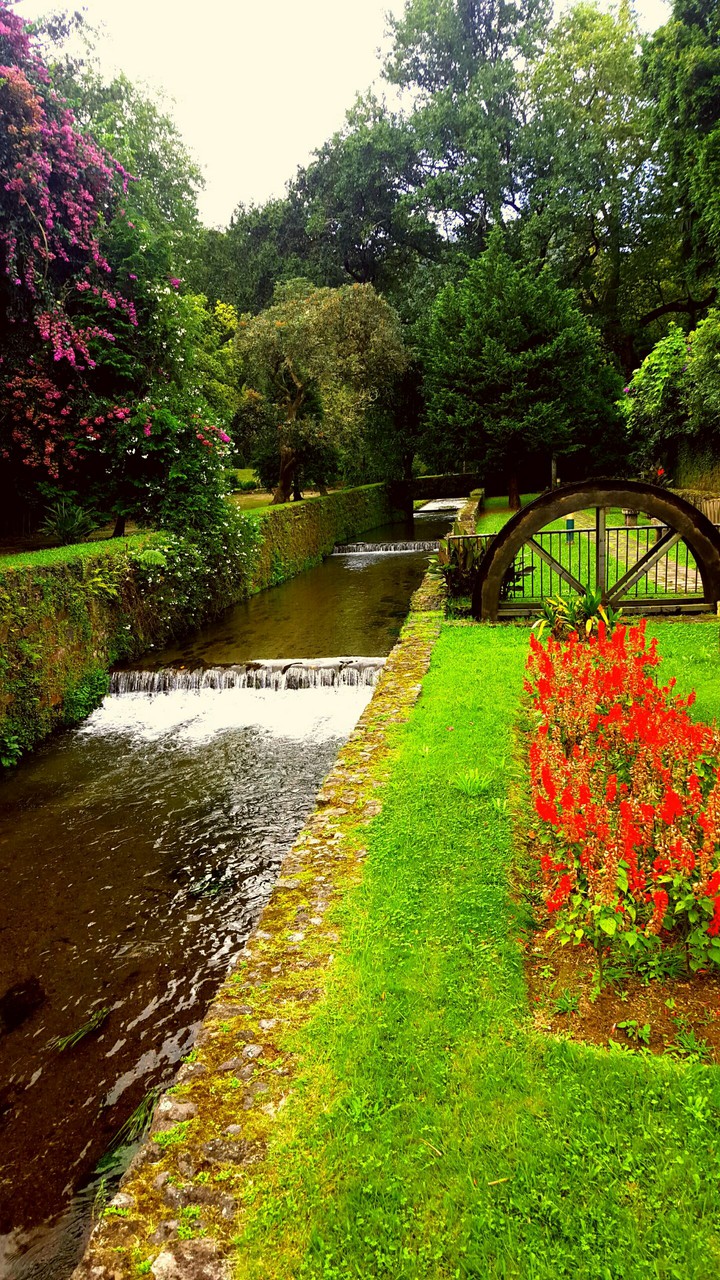 beautiful landscape. Village in Azores.