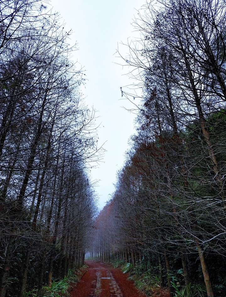 Lord &Tree