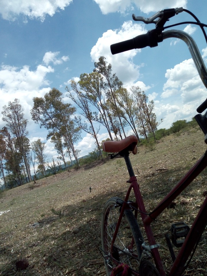 Trip