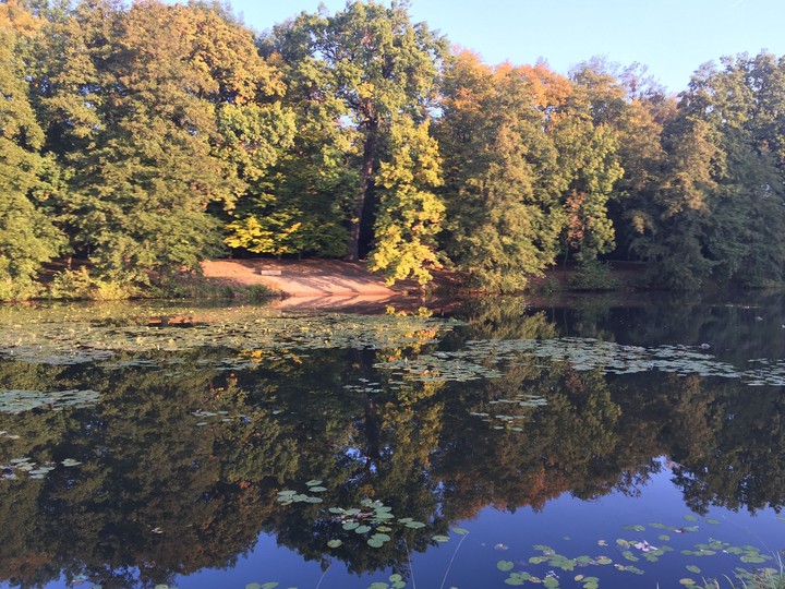 park