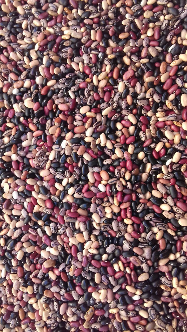 frijoles